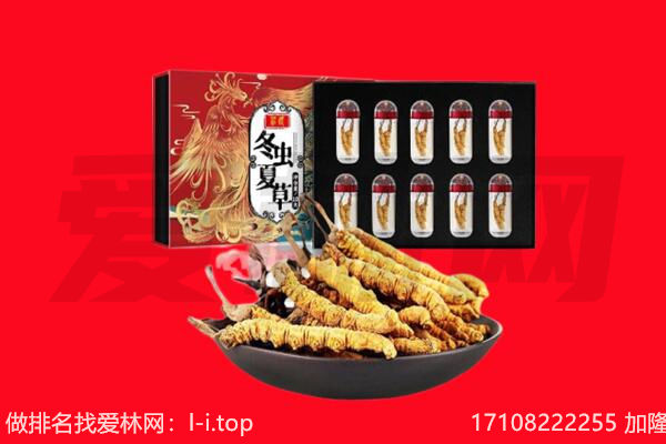 广元市回收虫草.jpg